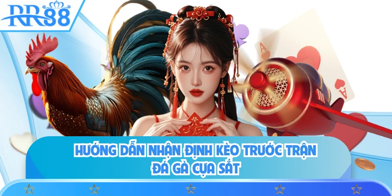 Hướng dẫn nhận định kèo trước trận đá gà cựa sắt 