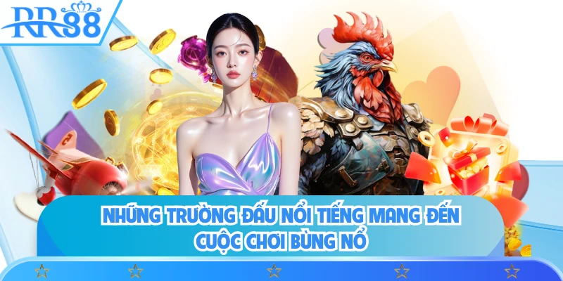 Những trường đấu nổi tiếng mang đến cuộc chơi bùng nổ